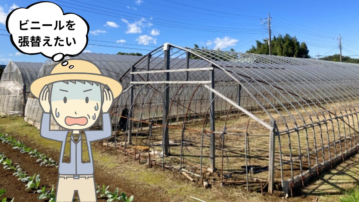 フィルム無いイメージ