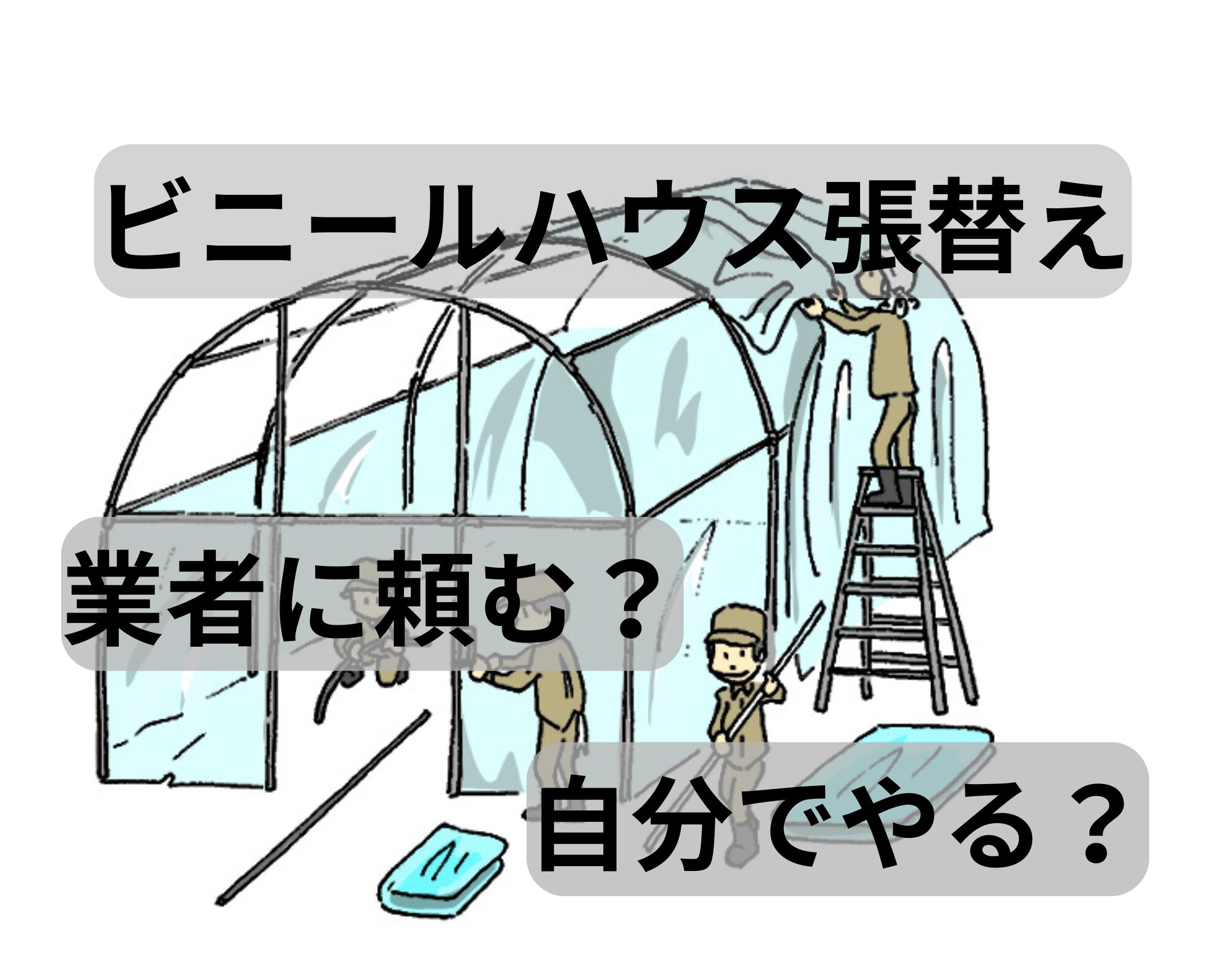 ハウス張替えイメージ