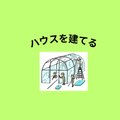 ハウスを建てる